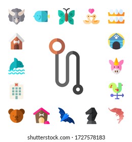 Modern Simple Set of animal Vector flat Icons. Contains such as triceratops, dog house, dolphin, leash, hospital, unicorn, cock and more Fully Editable and Pixel Perfect icons.