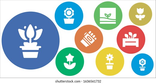 Modern Simple Set of blossom Vector filled Icons. Contains such as Flower, Sunflower, Terrarium, Karate, Flowerpot and more Fully Editable and Pixel Perfect icons.