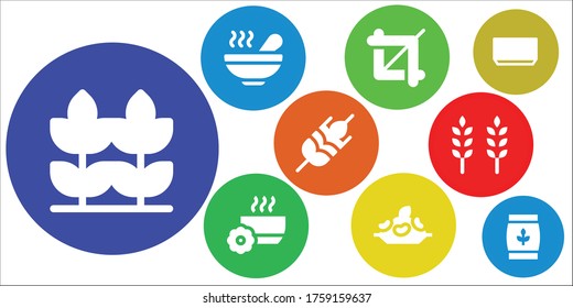 Modern Simple Set of cereal Vector filled Icons. Contains such as Wheat, Soup, Crop, Bowl, Rice and more Fully Editable and Pixel Perfect icons.