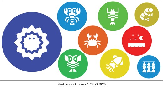 Modern Simple Set of crab Vector filled Icons. Contains such as Sea urchin, Lobster, Squid, Crab, Sea, Shrimp, Dried fish and more Fully Editable and Pixel Perfect icons.