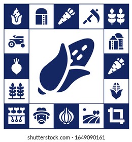 Moderne einfache Vektorillustration der Ernte gefüllt Symbole. Enthält z. B. Corn, Traktor, Rüben, Weizen, Silo, Karotten, Landwirtschaft, Ernte und mehr vollständig editierbare und Pixel perfekte Symbole.