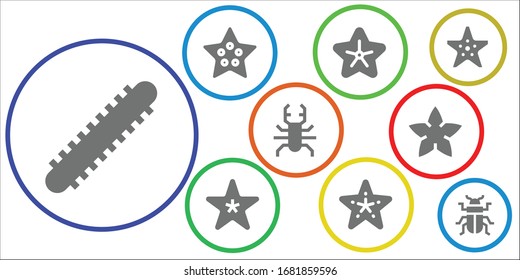 Modern Simple Set of invertebrate Vector filled Icons. Contains such as Centipede, Starfish, Beetle and more Fully Editable and Pixel Perfect icons.