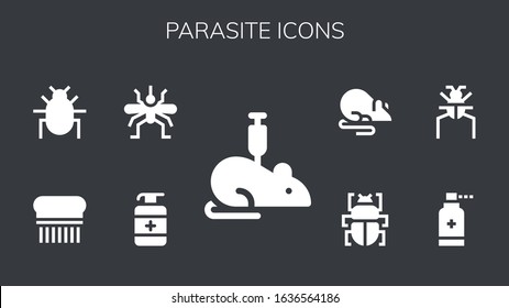 Modern Simple Set of parasite Vector filled Icons. Contains such as Rat, Antiseptic, Mosquito, Flea, Parasite, Fleas and more Fully Editable and Pixel Perfect icons.