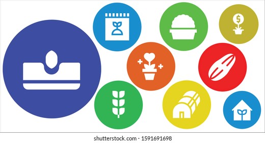 Modern Simple Set of seedling Vector filled Icons. Contains such as Sow, Fertilizer, Plant, Growing plant, Greenhouse, Seed, Garden and more Fully Editable and Pixel Perfect icons.