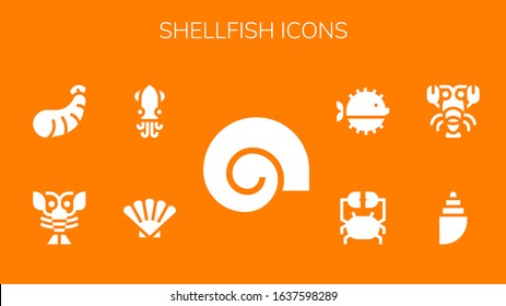 Modern Simple Set of shellfish Vector filled Icons. Contains such as Shell, Squid, Lobster, Shrimp, Crab, Puffer fish and more Fully Editable and Pixel Perfect icons.