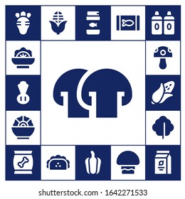 Modern Simple Set of vegetable Vector filled Icons. Contains such as Radish, Salad, Chives, Mushroom, Corn, Lettuce, Food, Taco and more Fully Editable and Pixel Perfect icons.