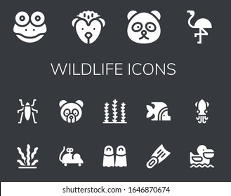 Modern Simple Set of wildlife Vector filled Icons. Contains such as Frog, Hedgehog, Panda bear, Flamingo, Seaweed, Insect, Mouse toy and more Fully Editable and Pixel Perfect icons.
