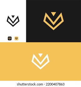 Modern simple V logo icon vector illustration
