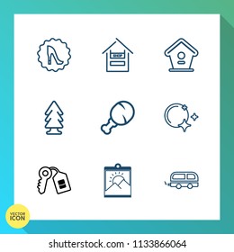 Modern, simple vector icon set on gradient background with environment, footwear, elegance, key, bird, tree, security, fashion, circle, nature, chicken, door, customer, birdhouse, store, forest icons