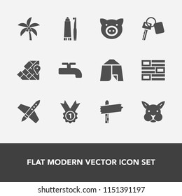 Modern, simple vector icon set with spaceship, hygiene, vehicle, geography, crane, key, piglet, map, internet, nature, way, business, camp, space, swine, animal, travel, technology, summer, palm icons