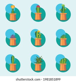 Modern Small Indoor Plants, web icon
