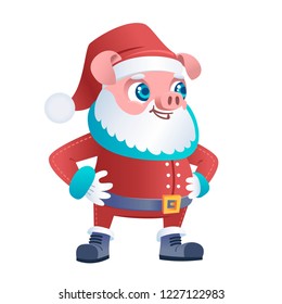 modern smiling and happy santa claus piglet in red traditional costume with gloves, belt, hat and beard in the year of pig 2018 drawn in detailed vector in bright colors