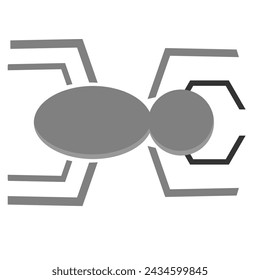 modern spider icon vector illustration