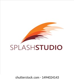 Modern Splash Logo, abstract and professional