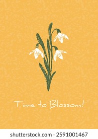Modern Spring greeting card, banner, cover, poster with hand drawn snowdrops flowers for Womens Day, Mothers Day, birthday. Floral designe template