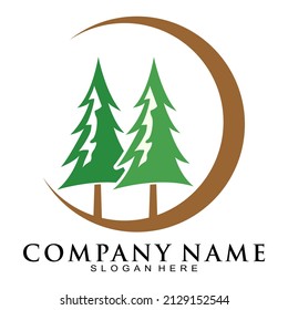 Modern spruce three logo design