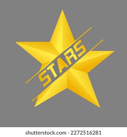 modern star logo icon design