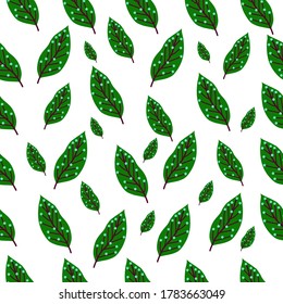 Decoración moderna y sin inconvenientes. Diseño de vectores para papel, impresiones, tela, decoración interior y otros usuarios