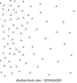 Modern stylish seamless pattern black and white with dandelion fluff silhouette. Beautiful nature wallpaper. Trendy floral background. Vector illustration