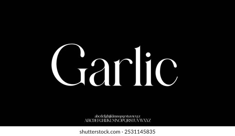 Modern Stylish Serif Balanced Elegant Font Alphabet Vector ABC