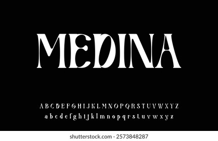 Modern Stylish Serif Balanced Elegant Font Alphabet Vector ABC