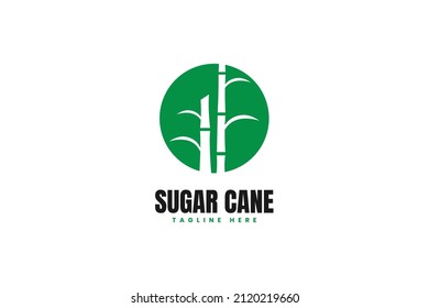 Modern sugarcane stem logo design vector template