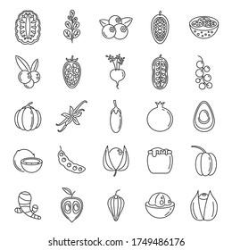 Modern superfood icons set. Outline set of modern superfood vector icons for web design isolated on white background