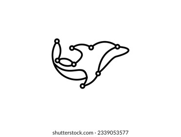 modern technology dolphin illustration logo	
