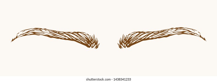 Modern thin big male eyelash light backdrop. Freehand linear dark ink hand drawn emblem insignia sketchy in retro artistic scribble etched print stylize pen on paper space for text. Close up view