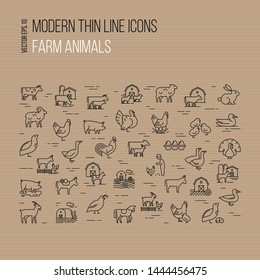 Modern Thin Line Icons Set Of Farm Animals Isolated On Brown Background.