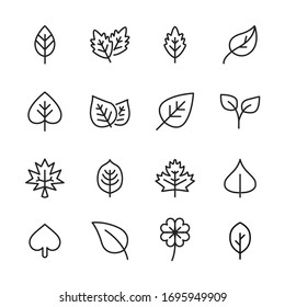 Modern thin line icons set of leaf. Premium quality symbols. Simple pictograms for web sites and mobile app. Vector line icons isolated on a white background.