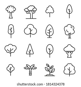 Modern thin line icons set of tree. Premium quality symbols. Simple pictograms for web sites and mobile app. Vector line icons isolated on a white background.
