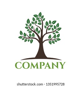Modern tree logo