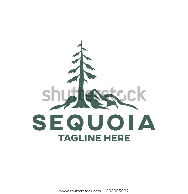Modern tree\
sequoia logo. Vector\
illustration.