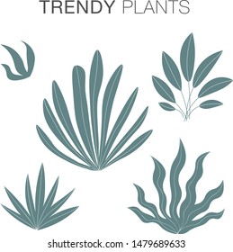 Modern trendy plants and leaves 