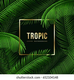 Modern Tropic background with frame for your text. Eps10 vector.