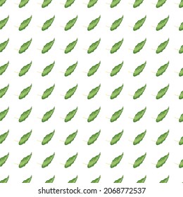 Modern tropical seamless pattern with green leaves isolated on white background. Botanical foliage plants wallpaper. Exotic hawaiian backdrop. Design for fabric, textile print, wrapping, cover