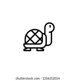 Modern turtle icon