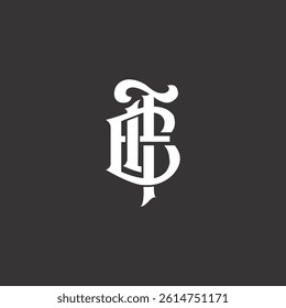 Modern unique creative TLE letters logo design