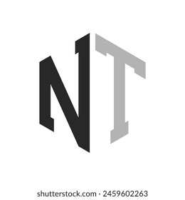 Modern Unique Hexagon Letter NT Logo Design Template. Elegant initial NT Letter Logo Concept