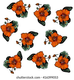 modern vector background with orange nasturtium