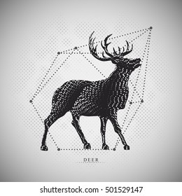 Modern vector of Deer on dotted mesh. Illustration with geometric abstract elements. Hipster Vector art.
