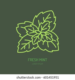 Modern vector flat icon of mint leaves. Fresh food logo. Flat symbol for peppermint gum. 