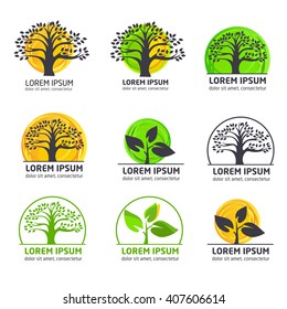 Modern vector gardening logotype. Vector logotype of tree.  Tree  logotype.
