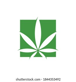 Gráfica vectorial moderna de cannabis, Perfecto para medicina, farmacia, etc.