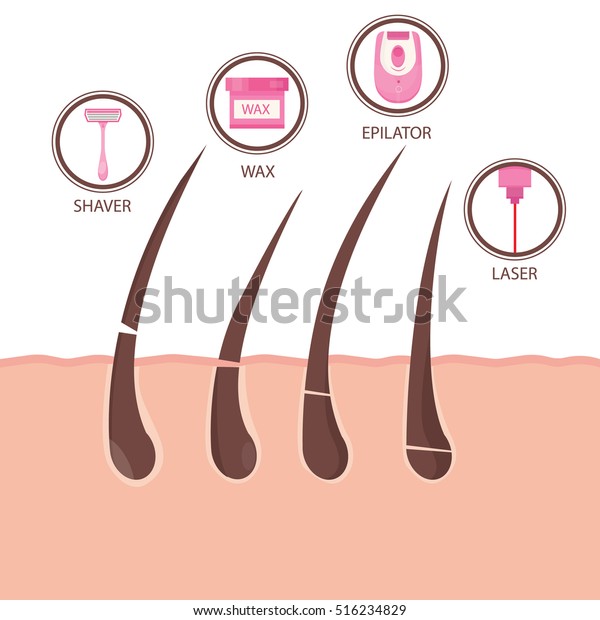 Modern Vector Illustration Different Methods Hair Stock Vector