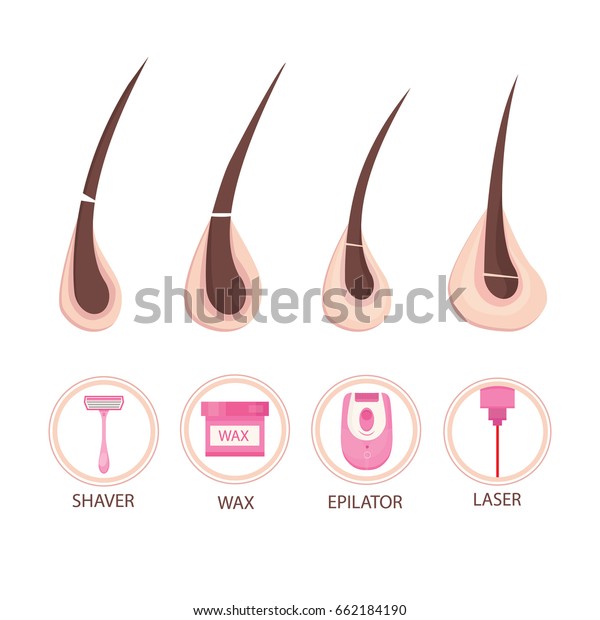 Modern Vector Illustration Different Methods Hair Stock Vector