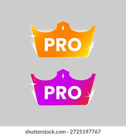 Ilustração vetorial moderna de uma coroa brilhante com texto pro. status de usuário premium, associação paga ou conta profissional em aplicativos móveis, jogos ou plataformas digitais.