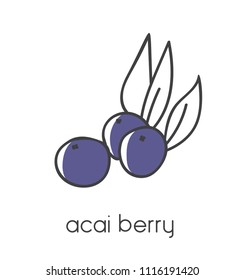 Modern vector illustration of a superfood Acai berry. Clear and simple line icon design with black outline and violet color blocks isolated on white background.