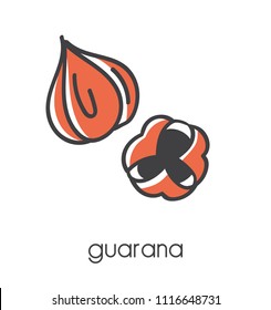 Modern vector illustration of a superfood Guarana. Clear and simple line icon design with black outline and orange color blocks isolated on white background.